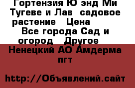 Гортензия Ю энд Ми Тугеве и Лав, садовое растение › Цена ­ 550 - Все города Сад и огород » Другое   . Ненецкий АО,Амдерма пгт